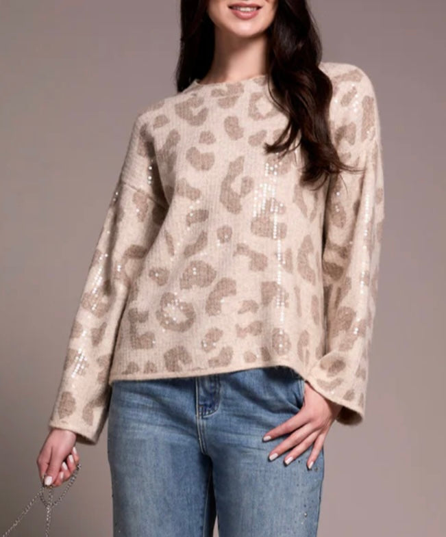 Long Sleeve Crew Neck Sweater with Sequin