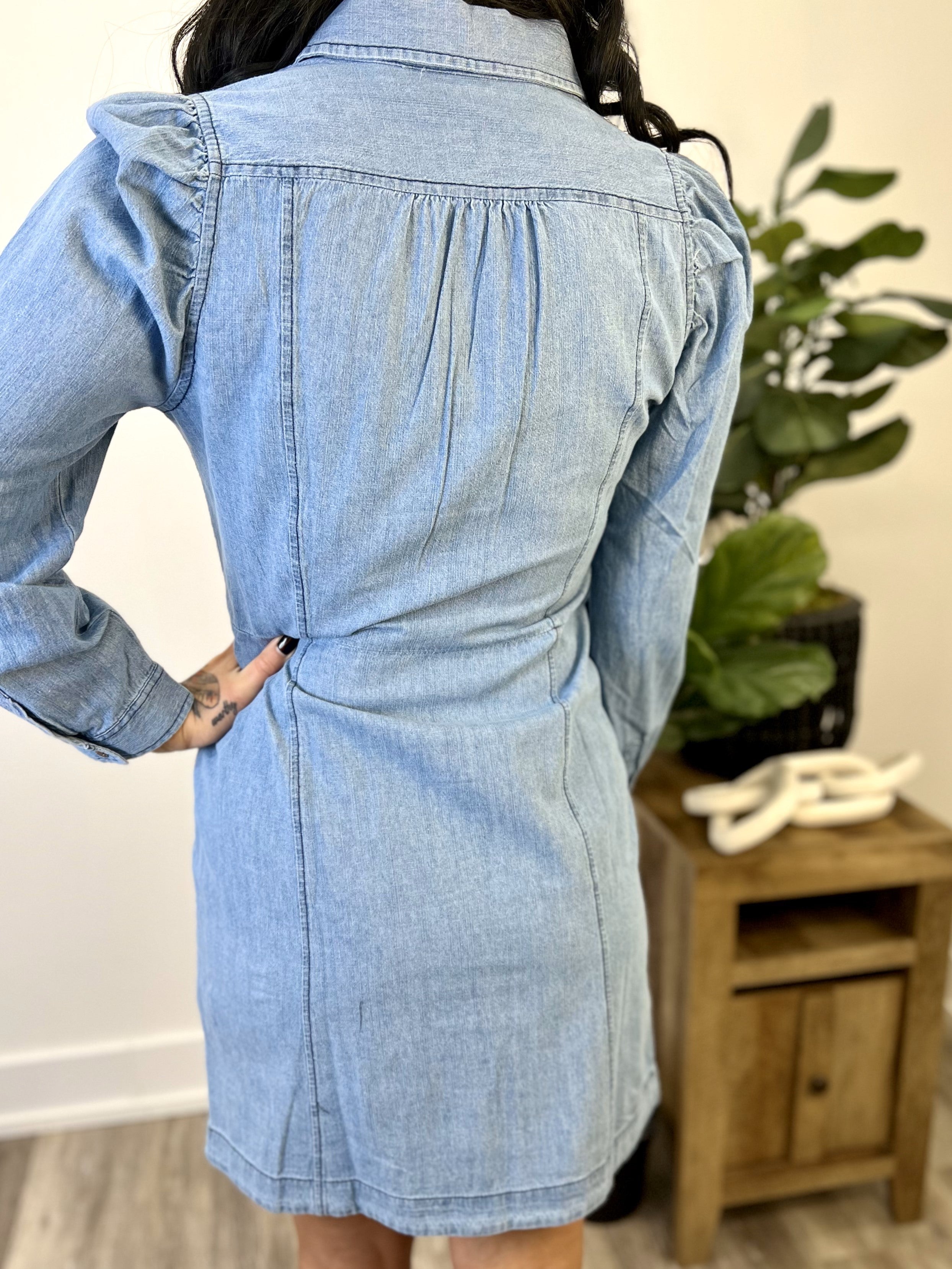 Mainstream Boutique Stillwater Denim Button Down Dress