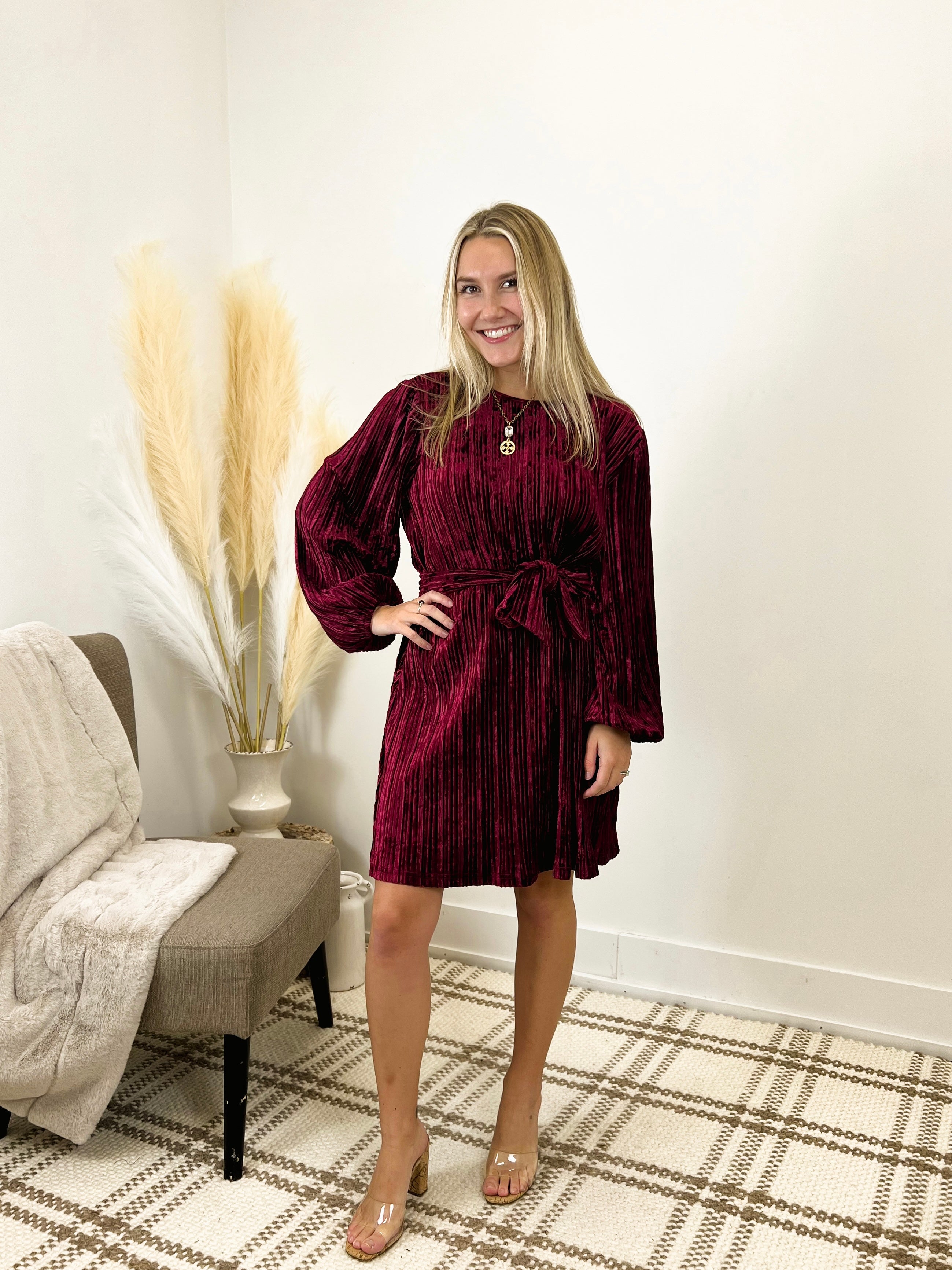 Velvet Holiday Dress